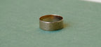 Victorian Engraved Swallow Motif Cigar Band
